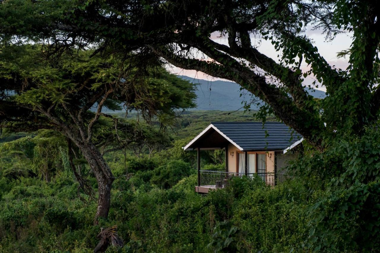 Lions Paw Ngorongoro Hotel Bagian luar foto