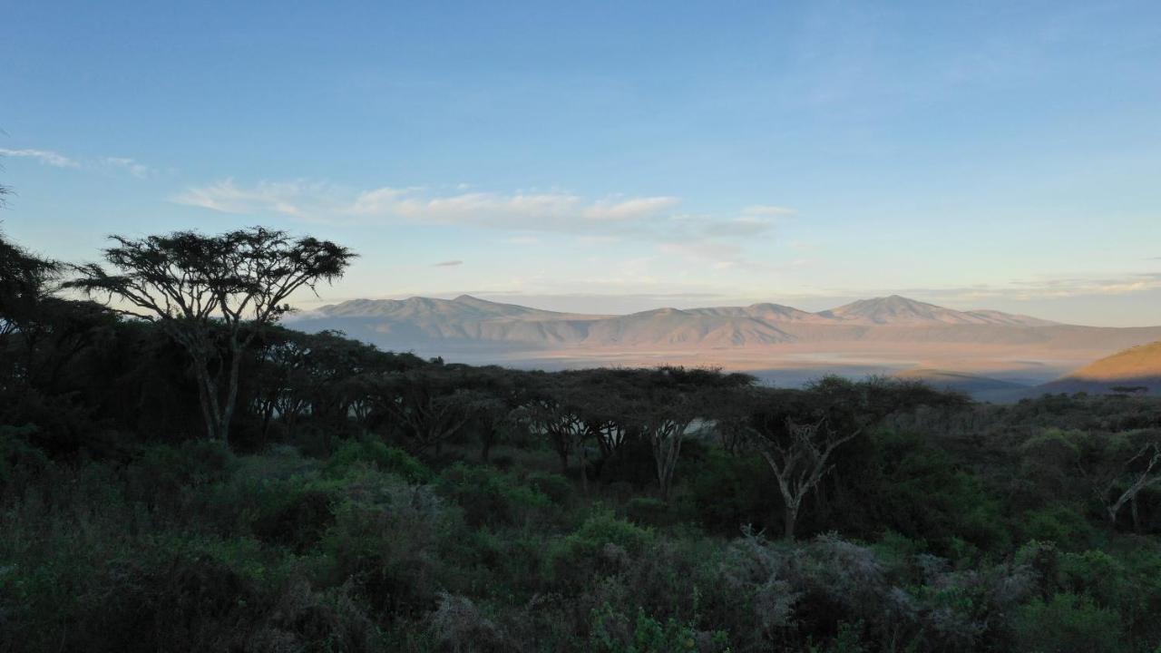 Lions Paw Ngorongoro Hotel Bagian luar foto