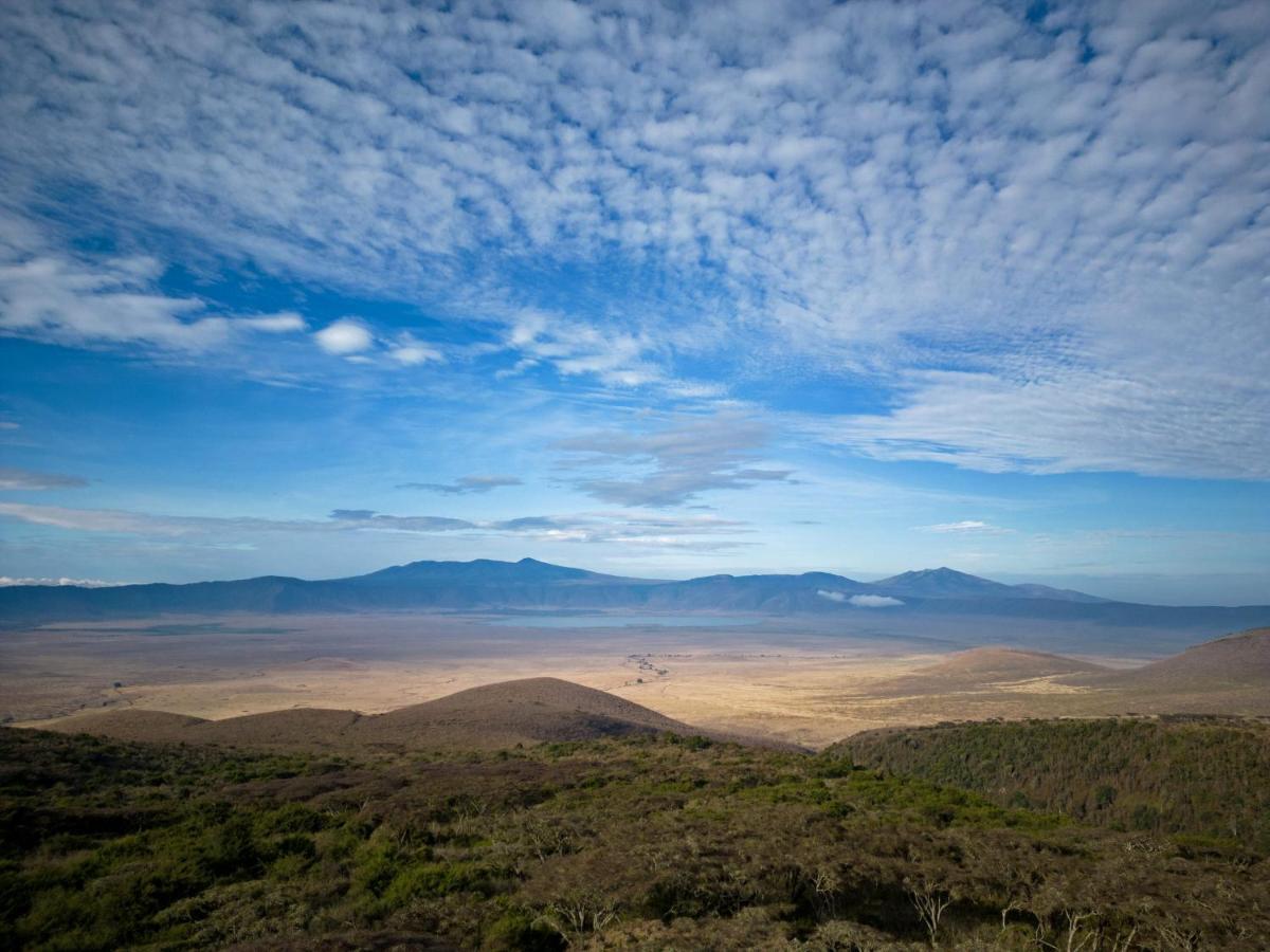 Lions Paw Ngorongoro Hotel Bagian luar foto