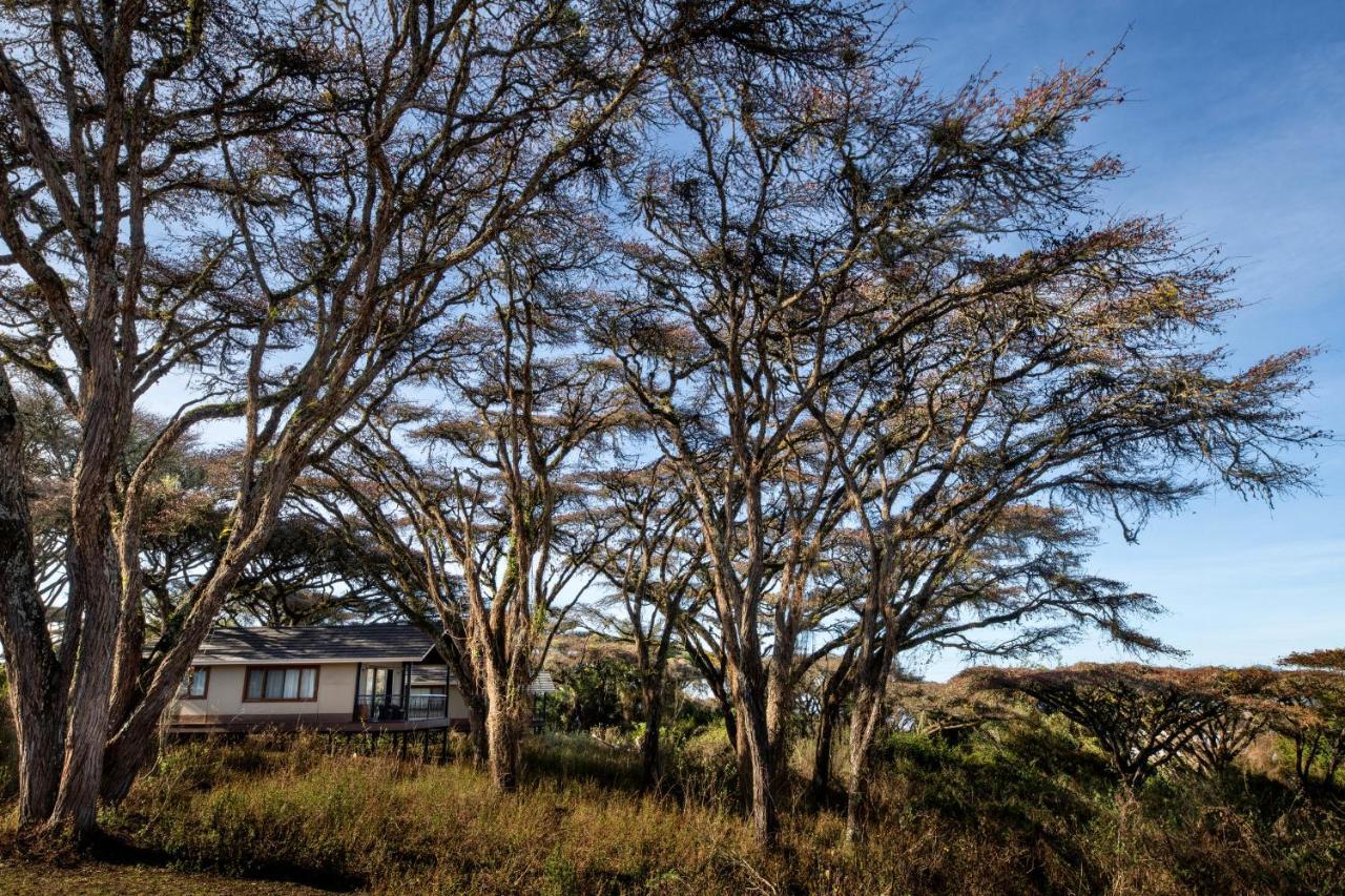 Lions Paw Ngorongoro Hotel Bagian luar foto